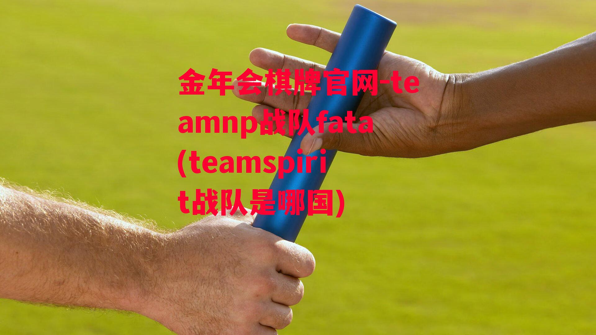 金年会棋牌官网-teamnp战队fata(teamspirit战队是哪国)