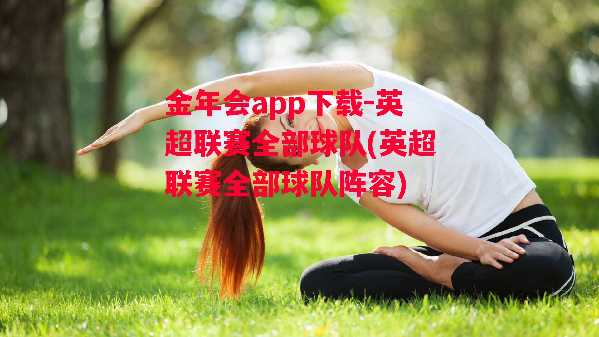 金年会app下载-英超联赛全部球队(英超联赛全部球队阵容)